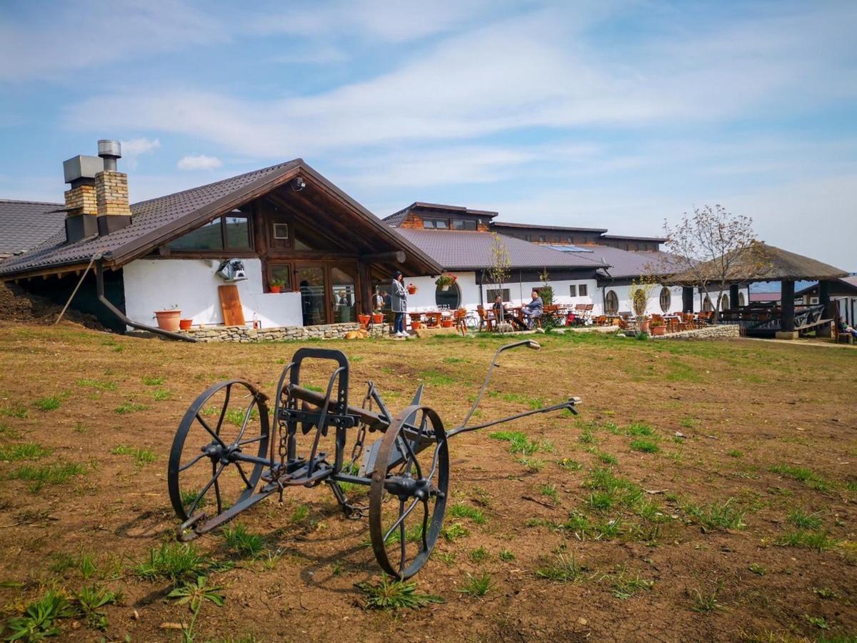 Ferma Dacilor Hotel Tohani Ngoại thất bức ảnh