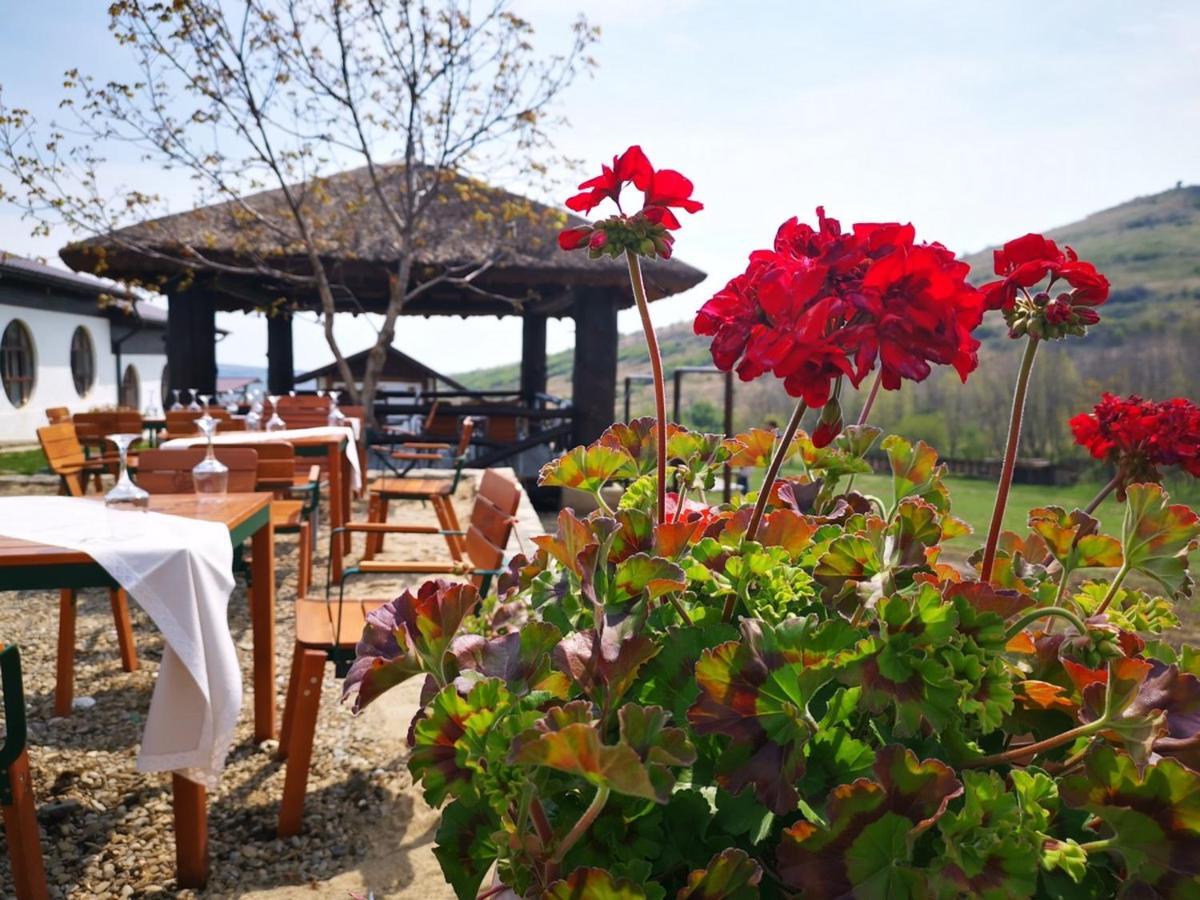 Ferma Dacilor Hotel Tohani Ngoại thất bức ảnh